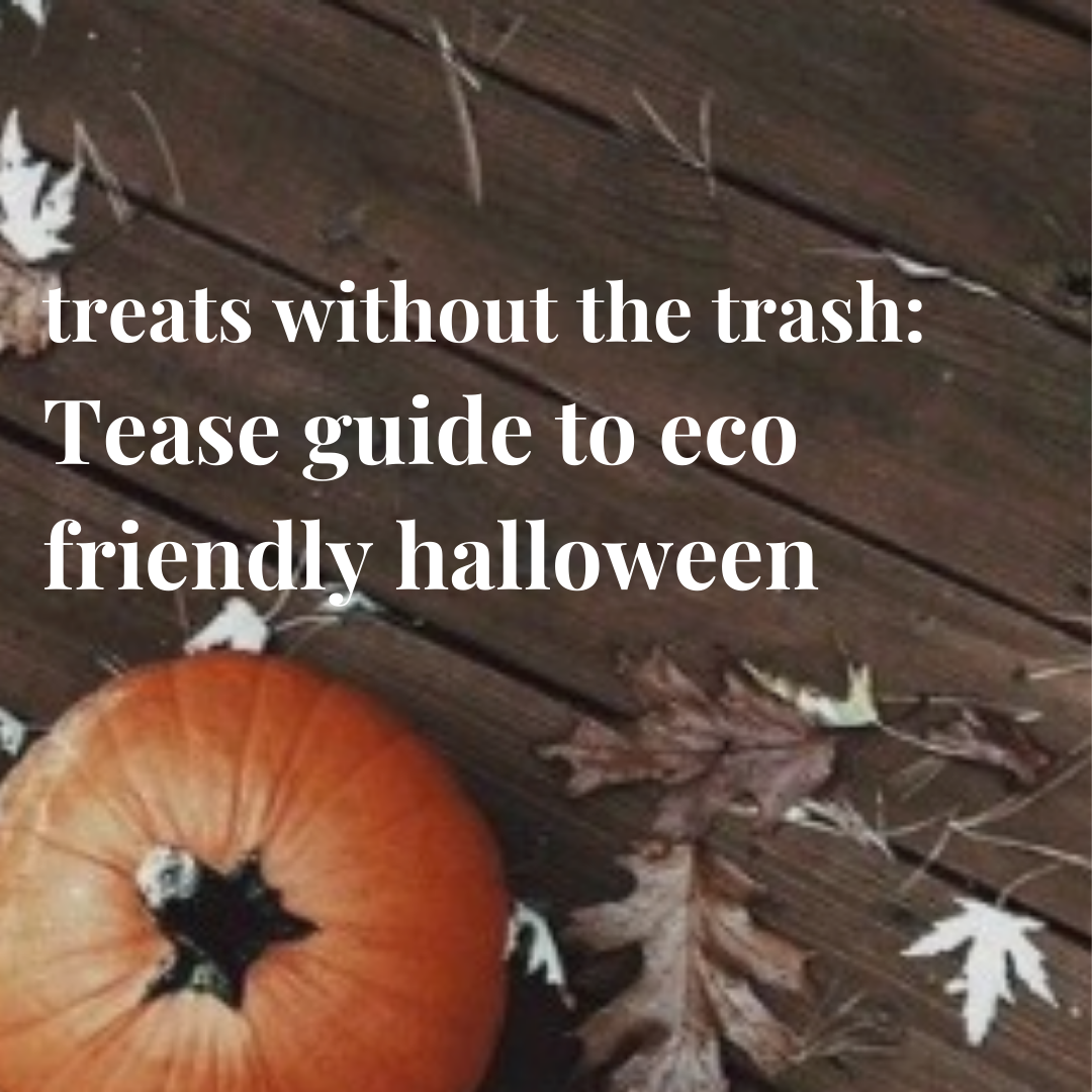 Treats Without the Trash: Tease Guide to an Eco Friendly Halloween