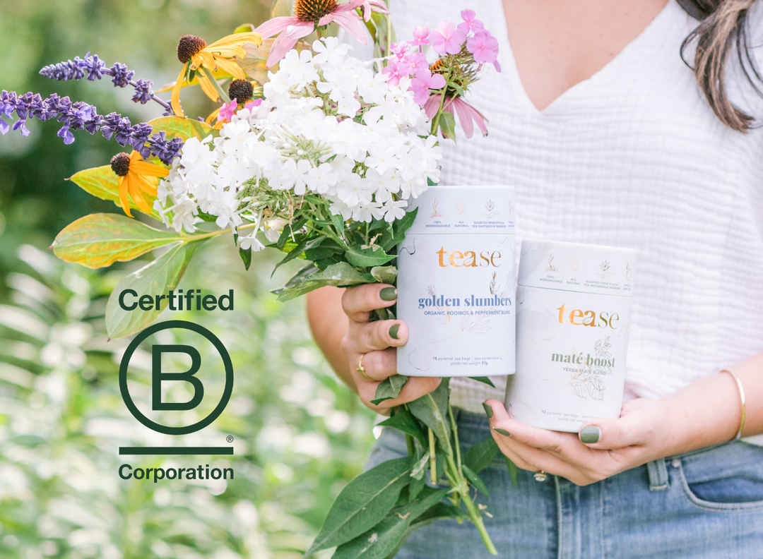 5 Ways Our BCorp Certification Impacts You
