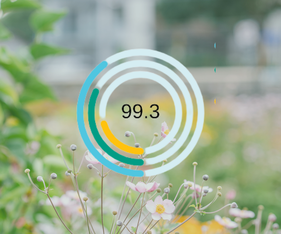 Breaking Down Our BCorp Score