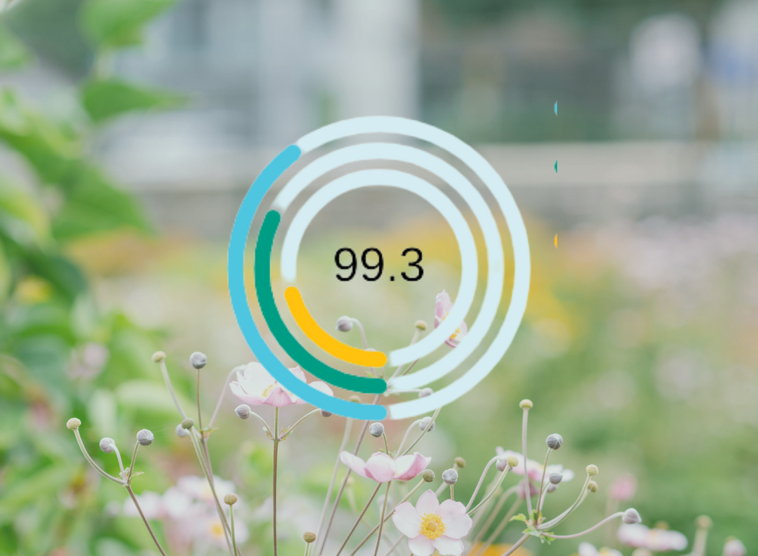 B-Corp Month: Breaking Down Our Benefit Corporation Impact Score