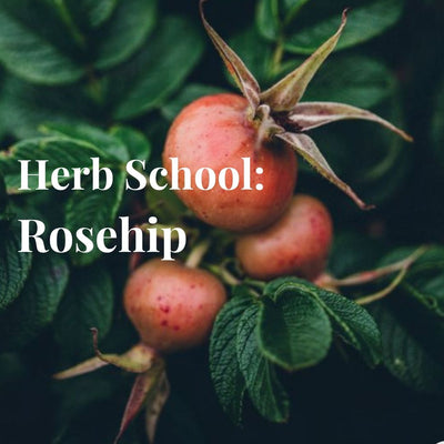 Herb School: Rosehip, Beauty from the Inside Out