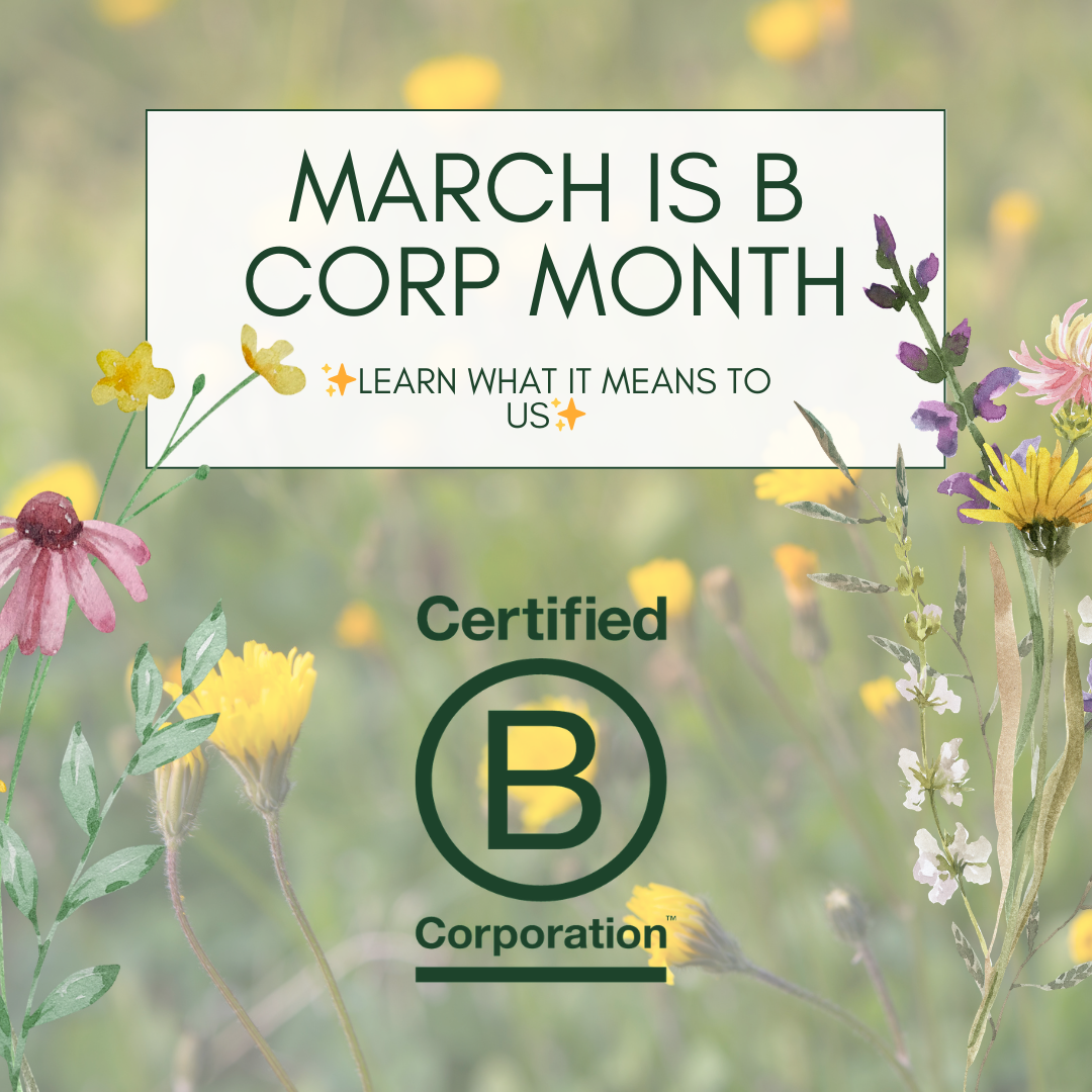 March is B Corp Month!