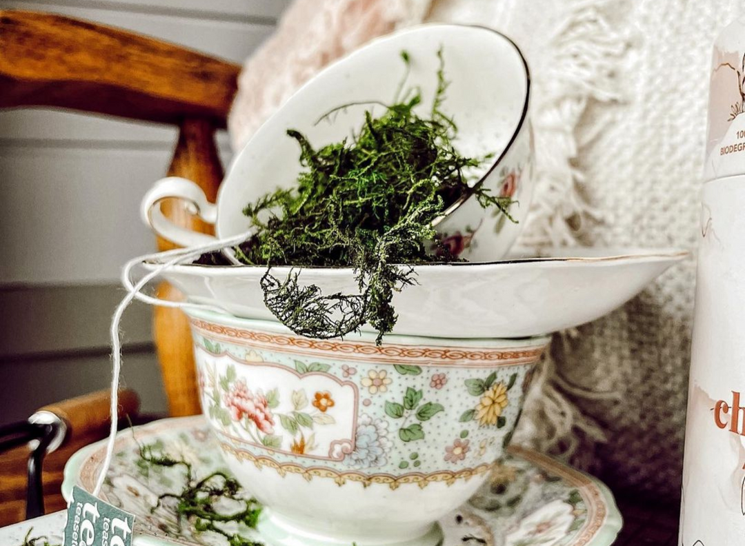 Spring-Inspired Merchandising Inspo