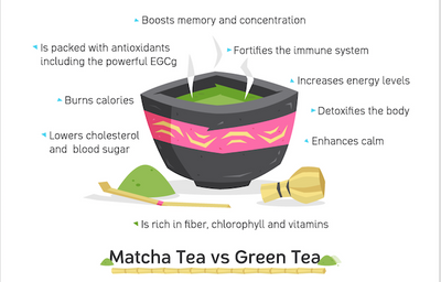 The Ultimate Matcha Tea Benefits Infographic