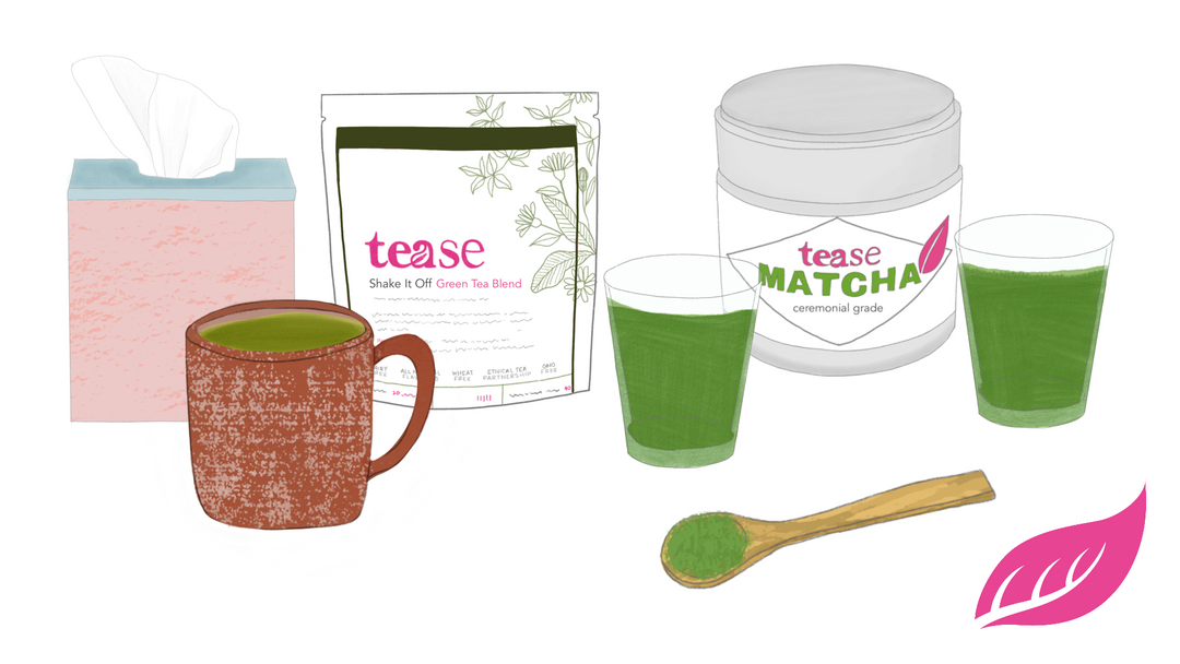 Tease Live On CTV Ottawa Morning Show: Green Tea For Cold Season