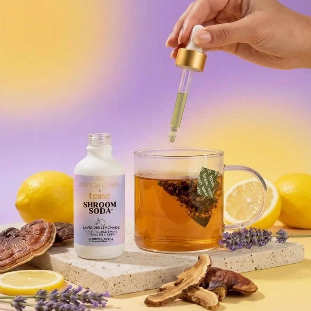 Shroom Soda - Lavender Lemonade
