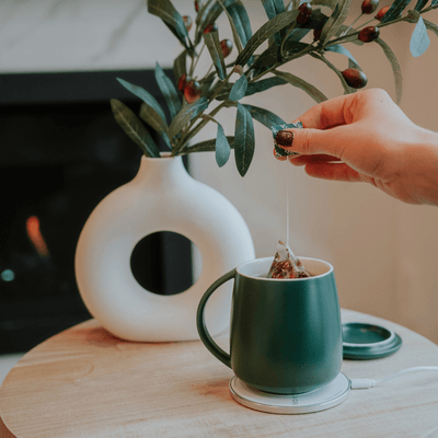 Tease Tea blended green tea DUPE Smart Heated Mug Kit 2.0 Smart Heated Mug Kit 2.0 |  With Wireless Charger Beverage Warmer by Tease