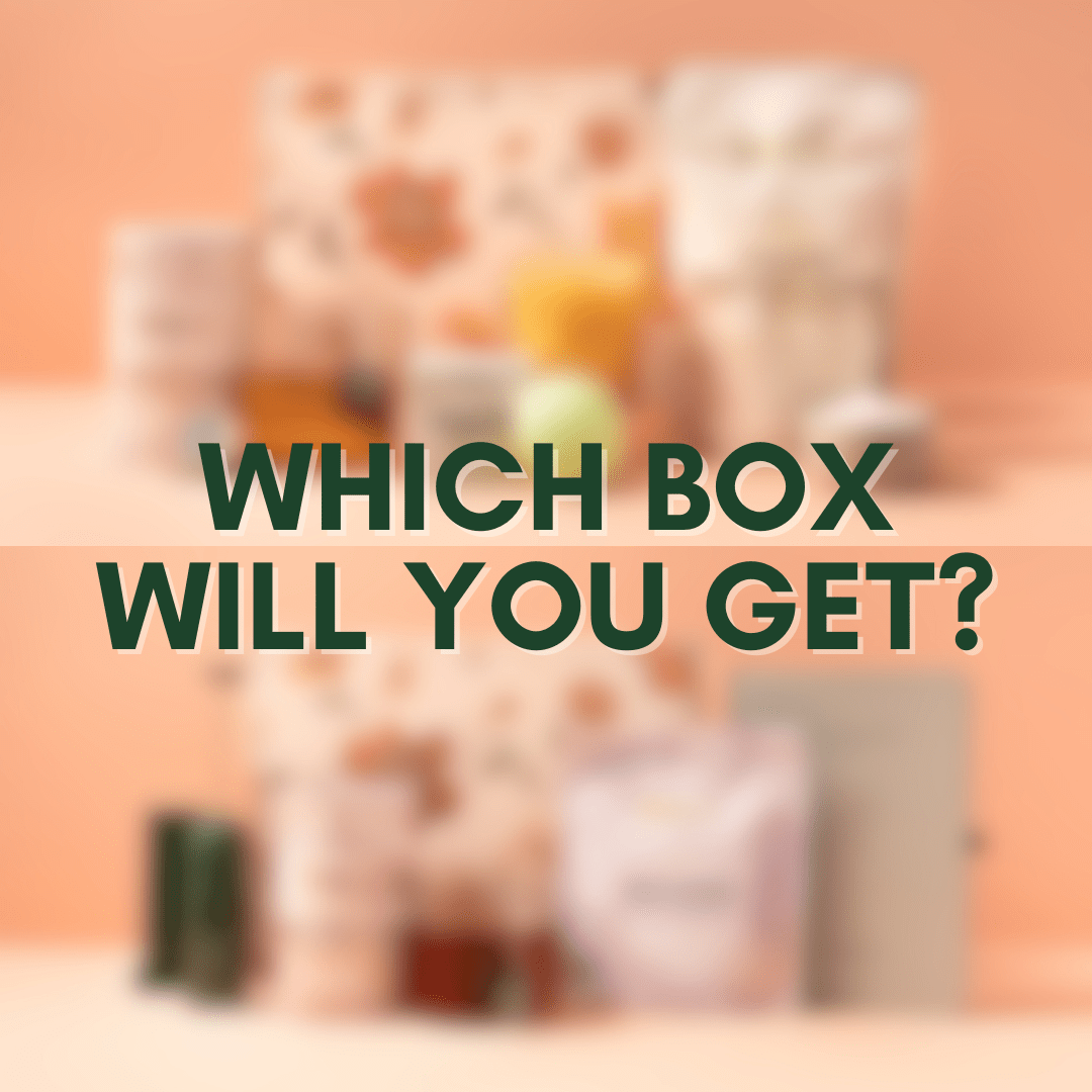 Tease Tea Tea Gifts Benefits Box: Fall Mystery Bundle 🌿 Tease Benefit Boxes!