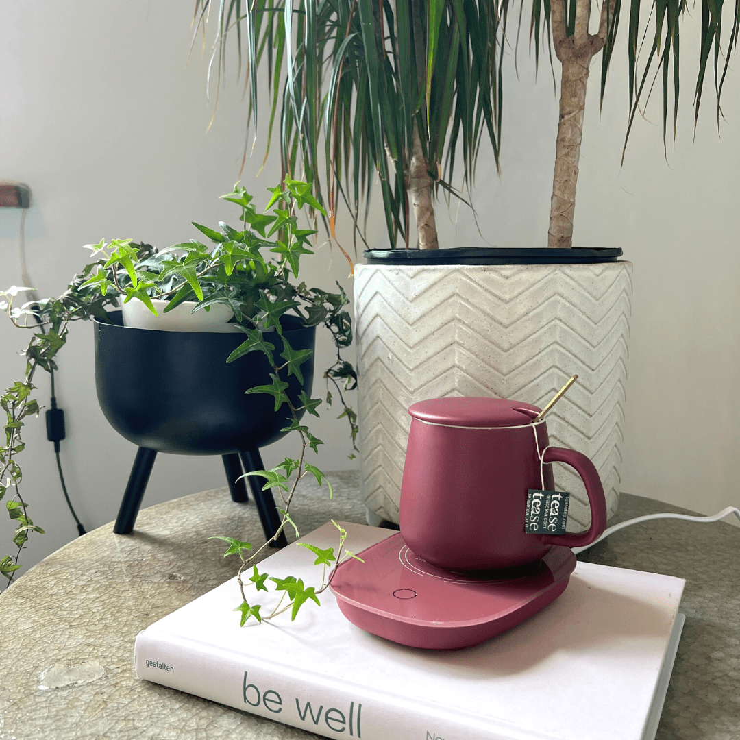 Tease Tea Tease > Drinkware > Mugs Smart Heated Mug Kit Smart Heated Mug Kit | Mug Warmer Set