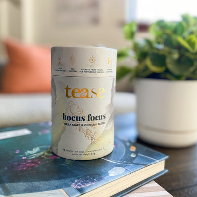Tease Tea tube-refill > wellness > biodegradable > tea > focus tea > yerba mate > gingko > ginseng > energy tea Hocus Focus Hocus Focus Tea | Cognitive Support - Tease Wellness Blends