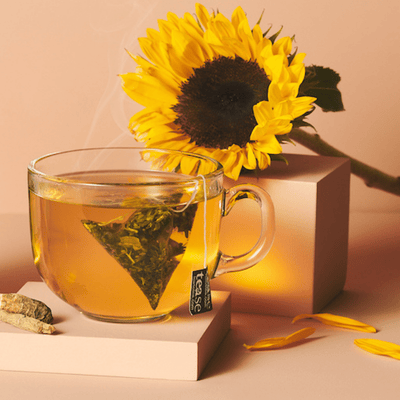 Tease Tea tube-refill > wellness > biodegradable > tea > focus tea > yerba mate > gingko > ginseng > energy tea Hocus Focus Refill Hocus Focus Tea Refill  | Cognitive Support - Tease Wellness Blends