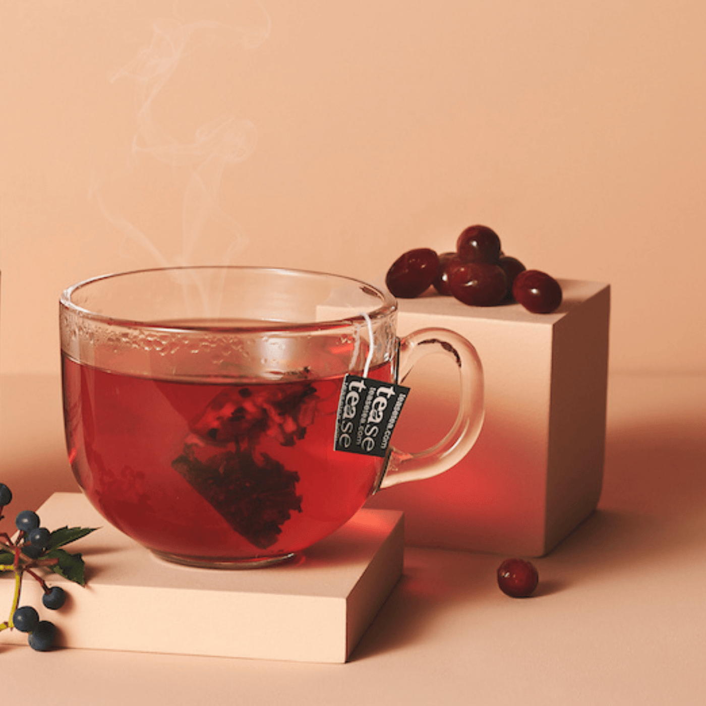 Tease Tea tube-refill > wellness > biodegradable > tea > immunity tea > elderberry Crimson Cranberry Refill (Seasonal) Crimson Cranberry Tea Refill |  Immunity Support - Tease Wellness Blends