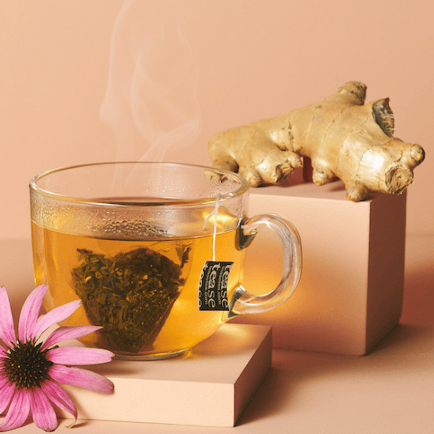 Tease Tea tube-refill > wellness > biodegradable > tea > immunity tea > green tea > echinacea Shake it Off Refill Shake it Off Tea Refill | Immunity Support - Tease Wellness Blends