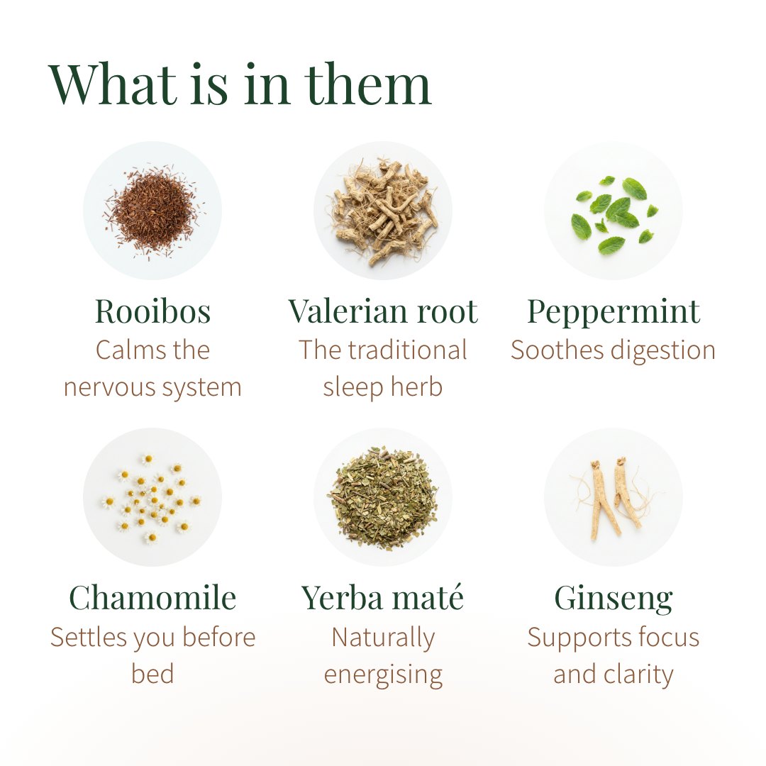 What is in them: rooibos, valerian root, peppermint, chamomile, yerba maté, ginseng
