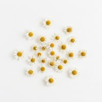 Chamomile